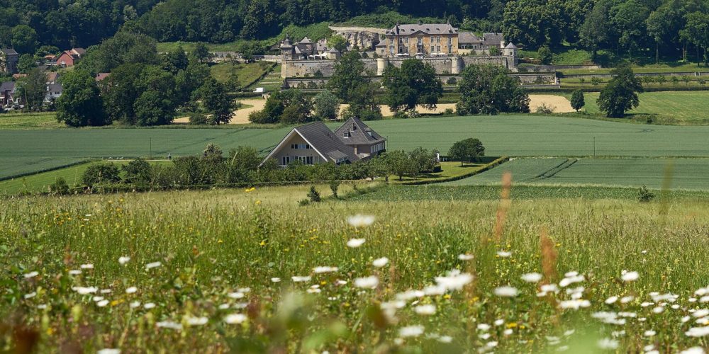 Lush green fields with wildflowers leading to a historical building in Maastricht, Limburg.